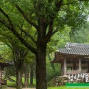 부영당 - 사상구 가야대로306번길 11 | 부영당