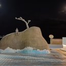 세파에 따르지    이미지