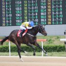 원더풀3 이미지