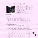 1349 | [#1349] 장군(양측 슬개골탈구 G2, G3)의 수술후기