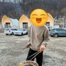 안성M글램핑카라반 이미지
