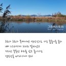 섬진강(순천) 이미지