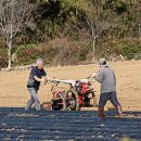 아주관광㈜ 이미지