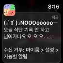 (주)메호르클린 | 인간은 한 번에 하나의 고통만 느낄 수 있다. (F45와 먹부림 후기)
