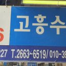 고흥시장B 이미지