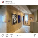 산수싸리 이미지