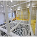 더키즈풀빌라 이미지