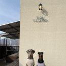 유정스테이 이미지