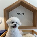 바르다펫 꿈의숲점 이미지