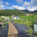 광리농장 이미지