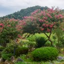 개랑 나들이 이미지