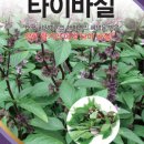 농업회사법인 허브 주식회사 네이버블로그