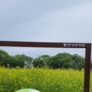 팔현 빗물펌프장 이미지