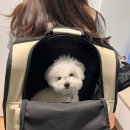 모드니세탁 이미지