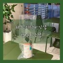 마린샵 이미지