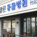 피정현동물병원 네이버블로그