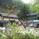 비래초등학교 이미지