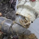 남촌도림동행정복지센터-2 이미지