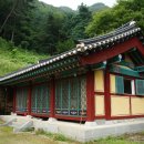 금대에코힐링캠핑장 이미지