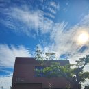 안중지인 | 양평 대형카페 주말에 다녀온 양수리 수수카페 찐 후기.