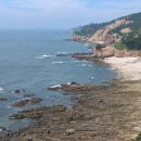 가래칠기 이미지