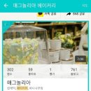 르매그놀리아