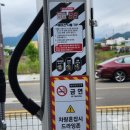 스테이 하구 이미지