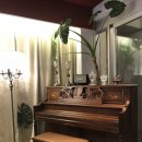 이호1820게스트하우스 이미지