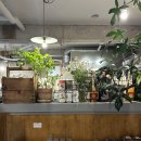 전라카인테리어 | 전주 카페 4곳 추천 2편 | 전주국제영화제 객사 외 분위기 좋은 카페 (작년 방문)