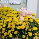 리딩비영어독서학원