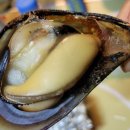 삼봉자동차야영장 이미지