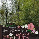 강서 낙동강30리 벚꽃축제(2025년) | 부산 데이트코스추천😍강서낙동강 30리 벚꽃축제 후기｜2023년 방문 경험 + 2026년 최신정보까지 총정리...