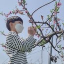 민준농장 이미지