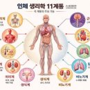 강릉헬스 이미지