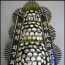 2021-03-0098 - 완주군 | 2021-03-0098