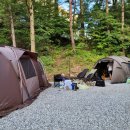 피노키오관광농원 이미지