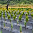 유계리 농장 이미지