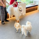 메종드 로이 이미지