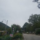 벽오동화순점 이미지