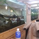 남천삼계탕 이미지
