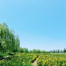 남상면-35 이미지