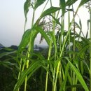 목인농장 이미지