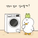 미니멀라이프 실천 , 건조기 없이 살아보기 5개월 후기
