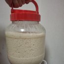 동진슈퍼 | 백옥찰 품종 찹쌀을 알아보아요! 우리술 찹쌀 활용의 역사와 백옥찰 품종 양조 활용 후기까지~