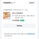 아미고 | 가평 보니따 애견동반 펜션 강아지 수영장 및 아미고 숙박 후기