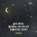 커피욜로