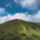 [제130차]충청북도 단양 소백산 6월의 푸르름을 맘껏즐겨보세요~~연두의 초록 향연에 초대합니다. 이미지