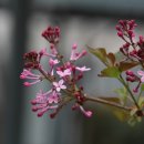 대구시립중앙도서관 이미지