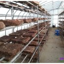 성림농원 이미지