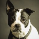 아름다운날 쉼 이미지